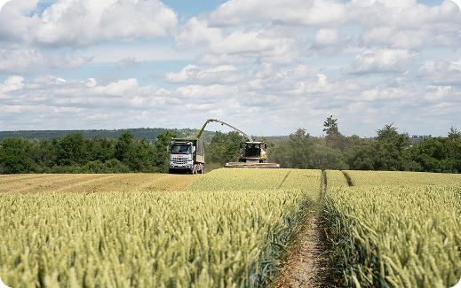 Landwirtschaftliche Dienstleistungen